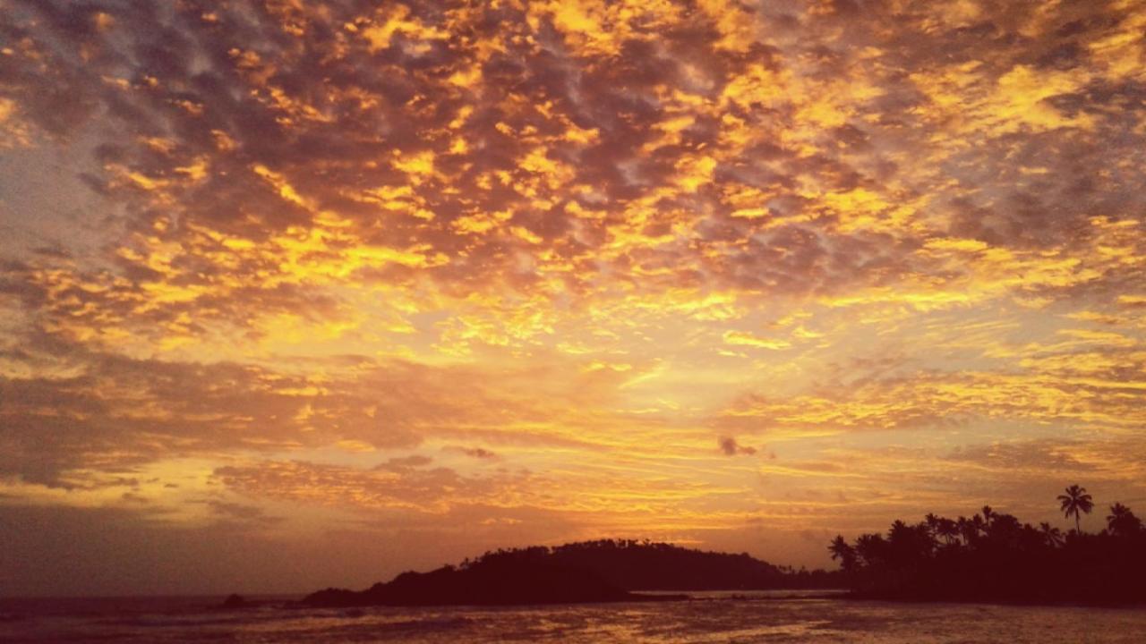 Turtle Reef Guest Bed & Breakfast มิริสซา ภายนอก รูปภาพ
