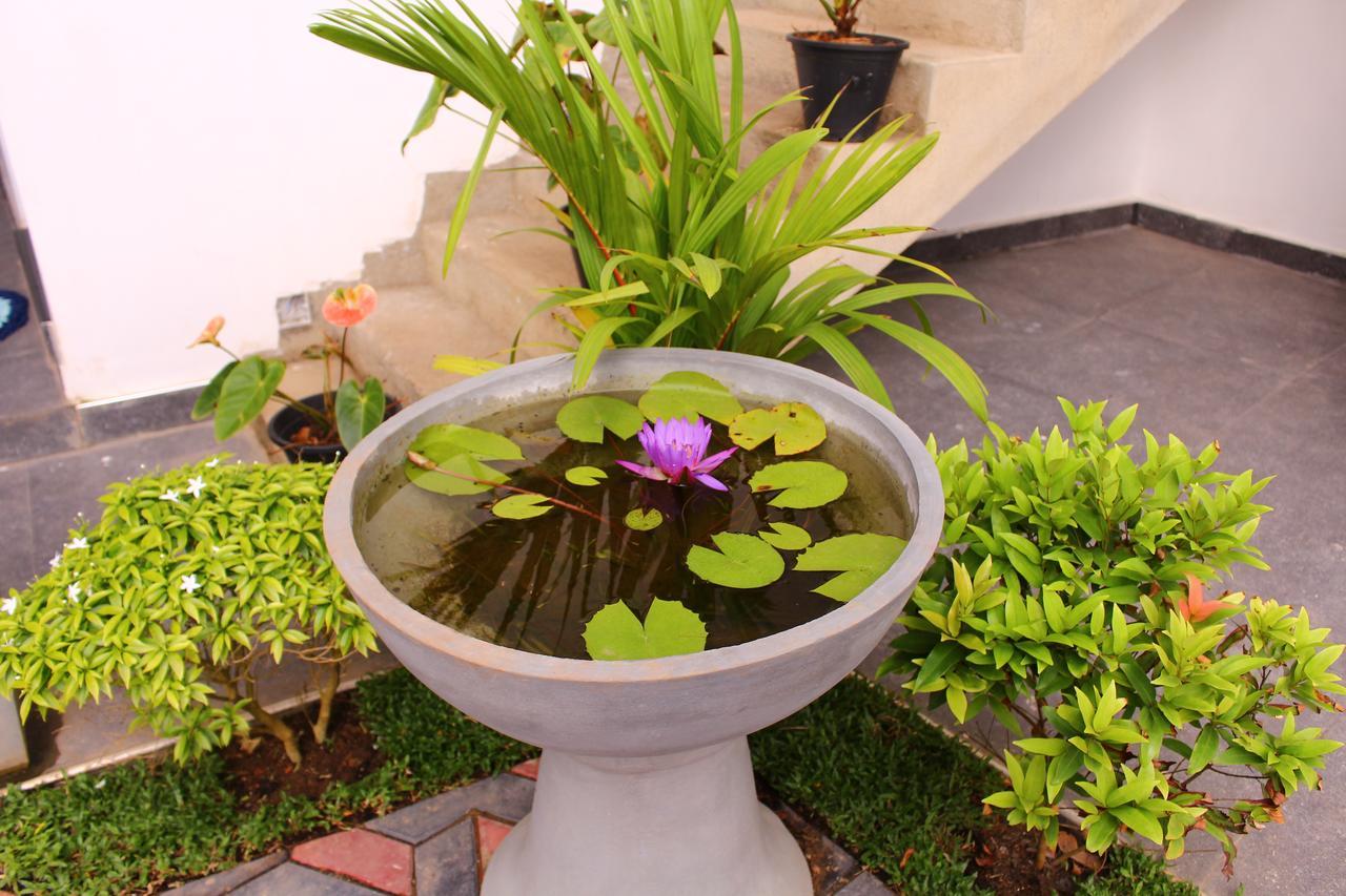 Turtle Reef Guest Bed & Breakfast มิริสซา ภายนอก รูปภาพ