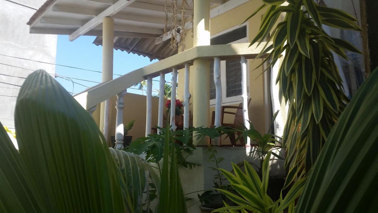 Turtle Reef Guest Bed & Breakfast มิริสซา ภายนอก รูปภาพ