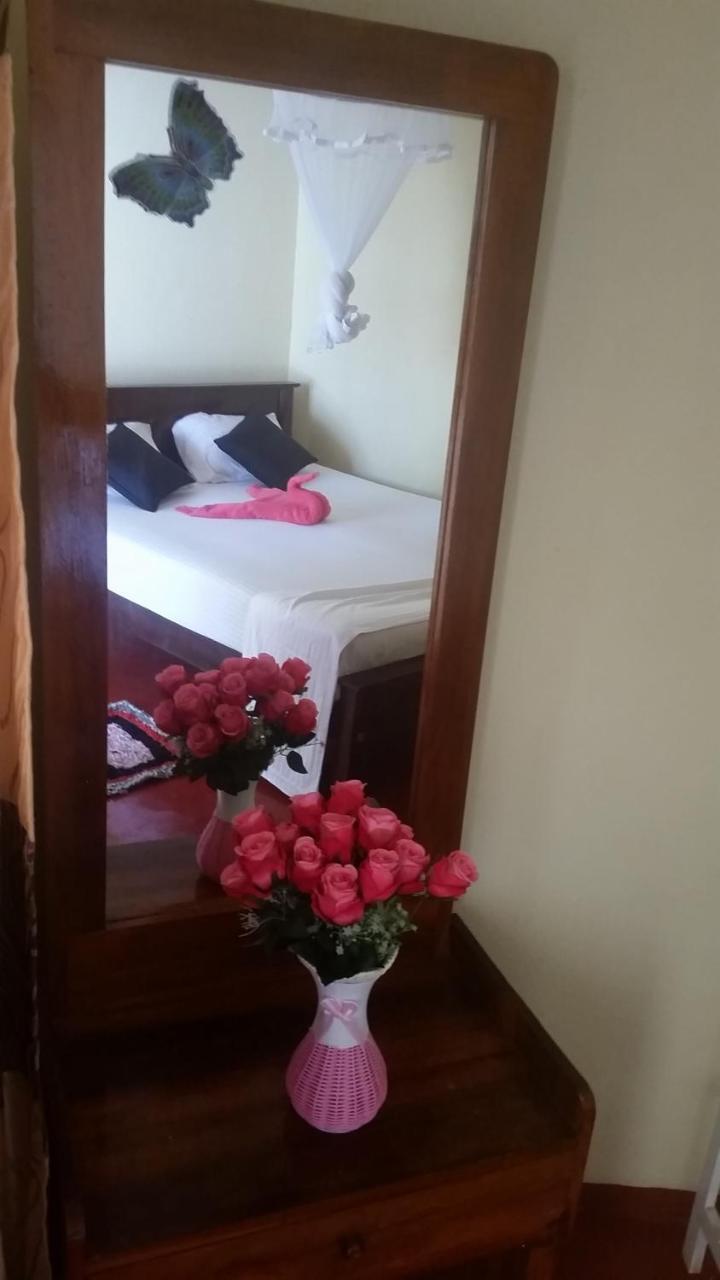 Turtle Reef Guest Bed & Breakfast มิริสซา ภายนอก รูปภาพ